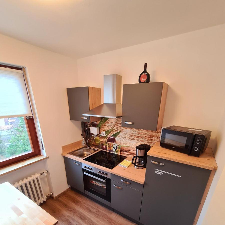1,5 Zimmer Apartments Mit Traumhafter Aussicht 巴特基辛根 外观 照片